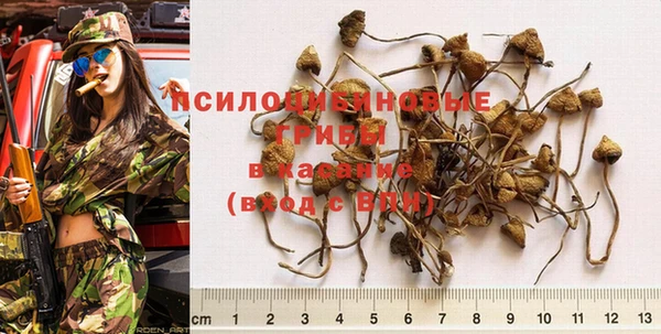 спиды Беломорск