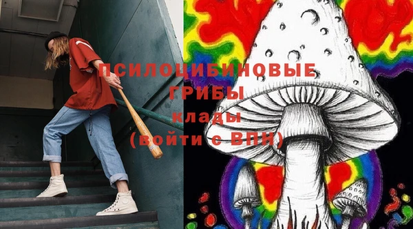 крисы Белокуриха