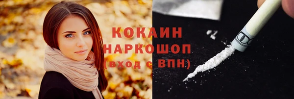 крисы Белокуриха