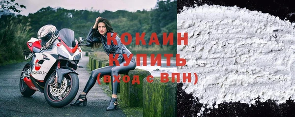 крисы Белокуриха