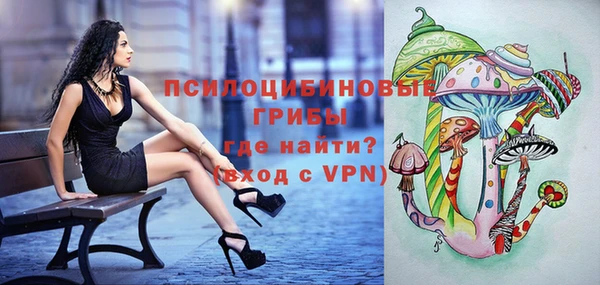 спиды Беломорск