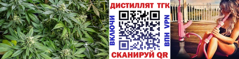 Купить закладки  Николаевск-на-Амуре  ТГК Wax 