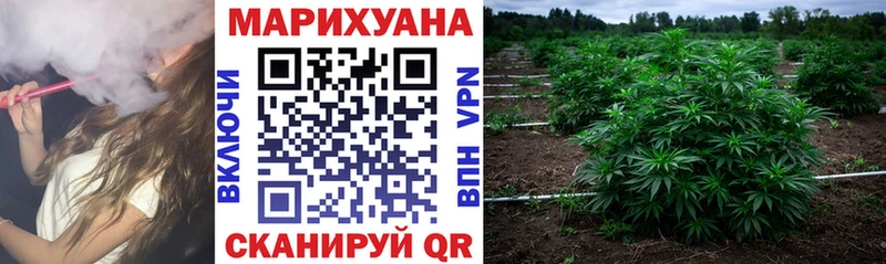 Купить закладки  Николаевск-на-Амуре  Каннабис гибрид 